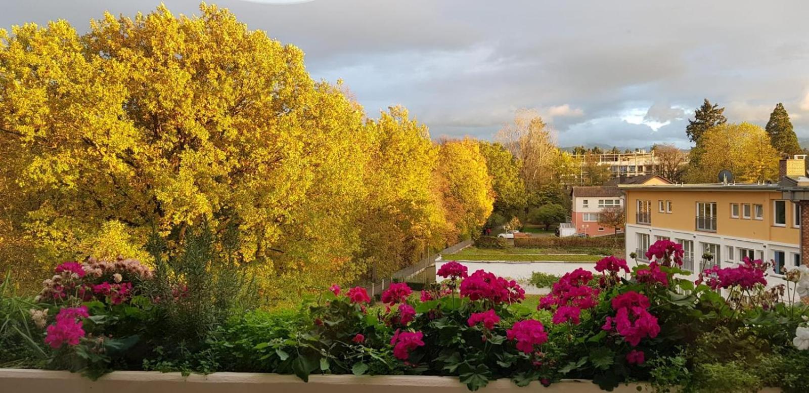 Mariaprimavera Apartment Am Kurpark Mit Schwarzwaldblick * * * * Bad Krozingen Zewnętrze zdjęcie