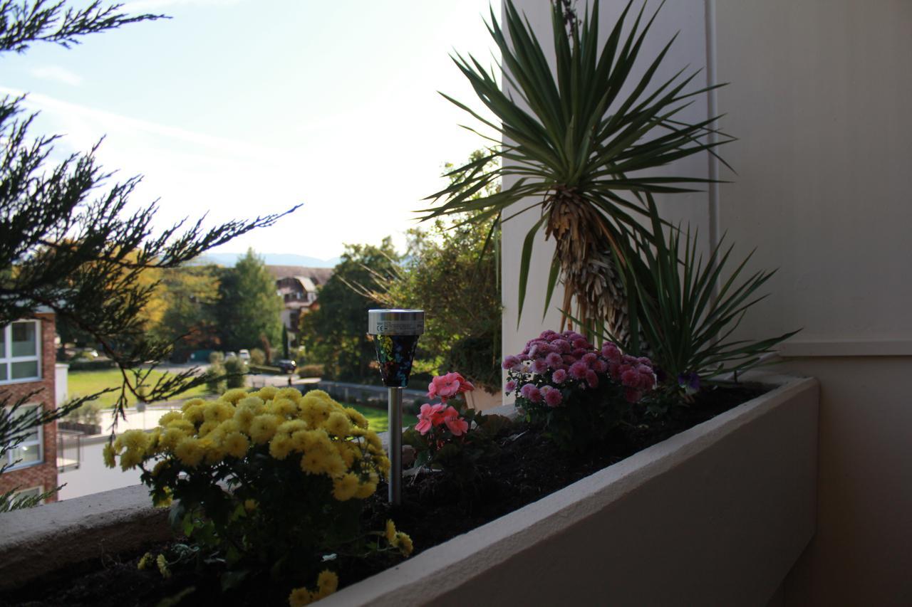 Mariaprimavera Apartment Am Kurpark Mit Schwarzwaldblick * * * * Bad Krozingen Zewnętrze zdjęcie